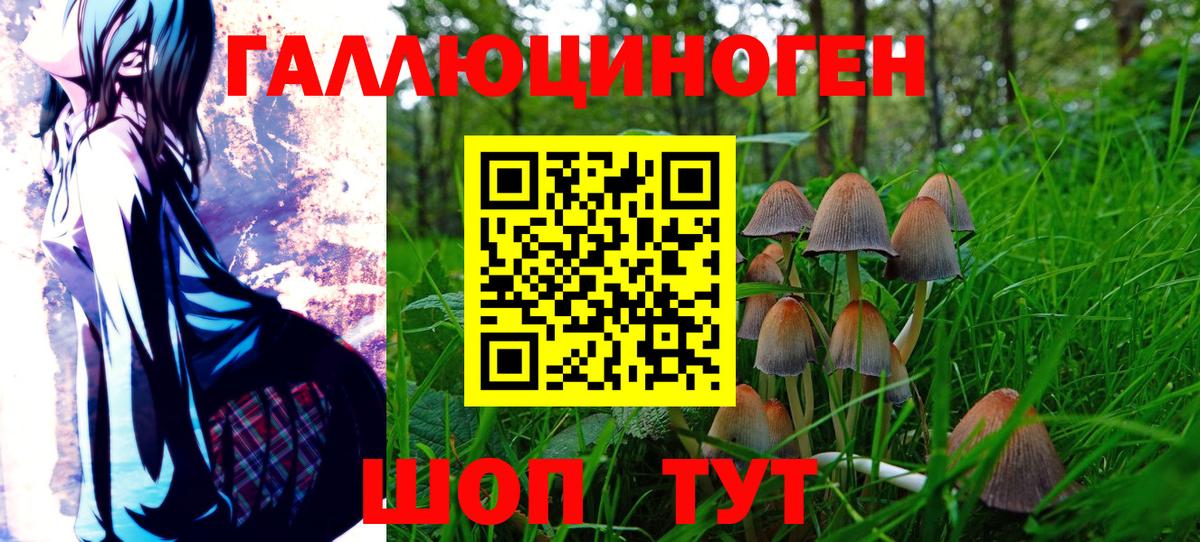 Галлюциногенные грибы прущие грибы Мелеуз